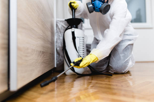 Best Ant Control Services  in Lake City, IA