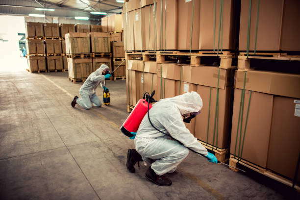Best Commercial Pest Control Services  in Lake City, IA