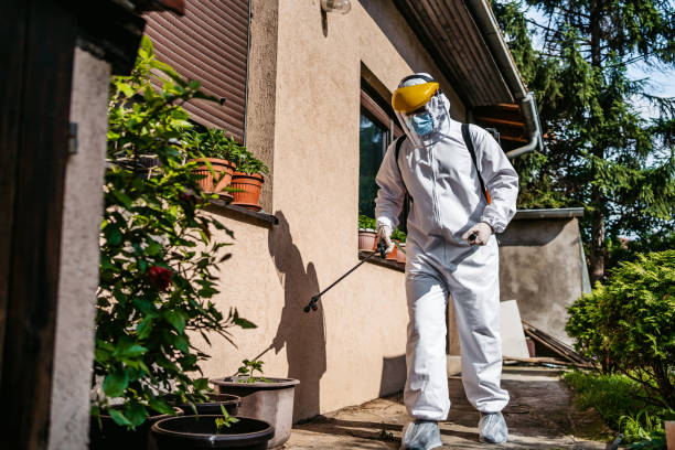 Flea Control Services in Lake City, IA