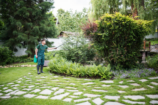Wasp Removal Services in Lake City, IA