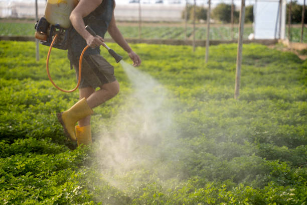 Best Pest Prevention Services  in Lake City, IA
