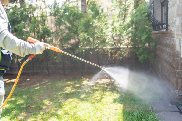 Best Local Pest Control Services  in Lake City, IA