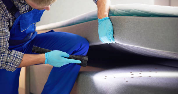 Best Affordable Pest Control Services  in Lake City, IA