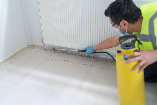 Best Pest Inspection Near Me  in Lake City, IA