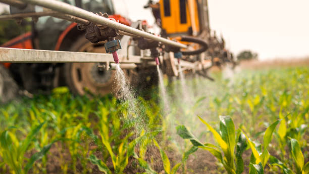 Best Pest Control Cost  in Lake City, IA