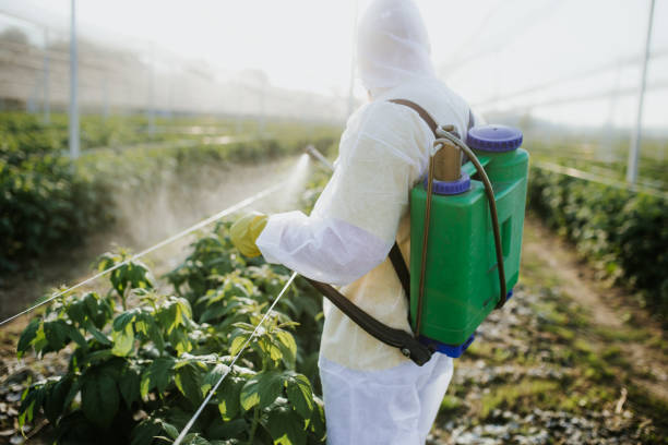 Best Pest Control Near Me in Lake City, IA